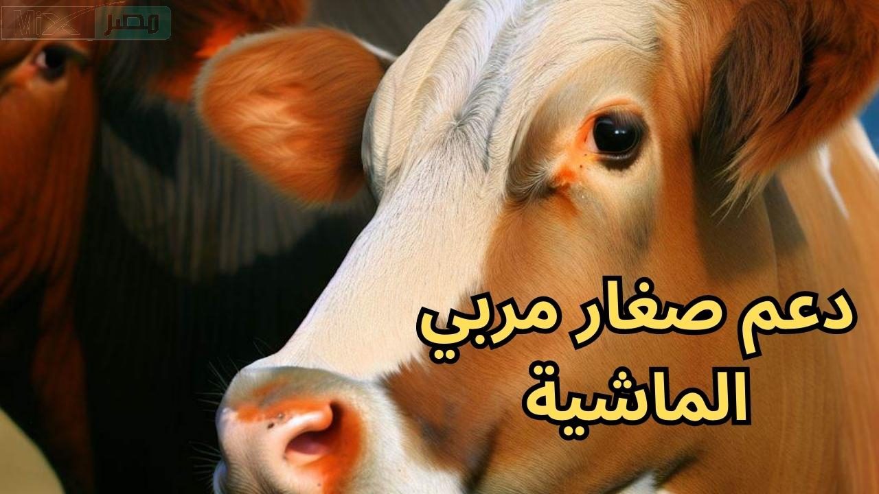 “وزارة البيئة” توضح موعد دعم صغار مربي الماشية وشروط التسجيل في برنامج ريف