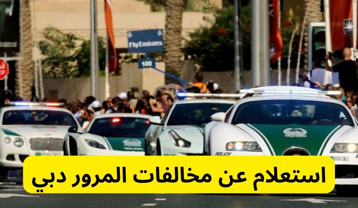 استعلام عن مخالفات المرور دبي
